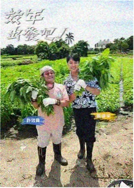 周末不加班 综艺在线观看